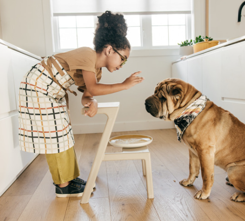 The Benefits of Spaying/Neutering Your Pets